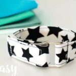 Hướng dẫn DIY vòng cổ cho thú cưng